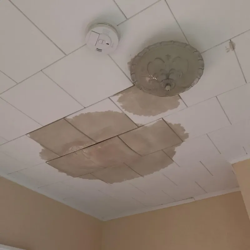 Ceiling Water Damage Repair in Timber Lake, SD