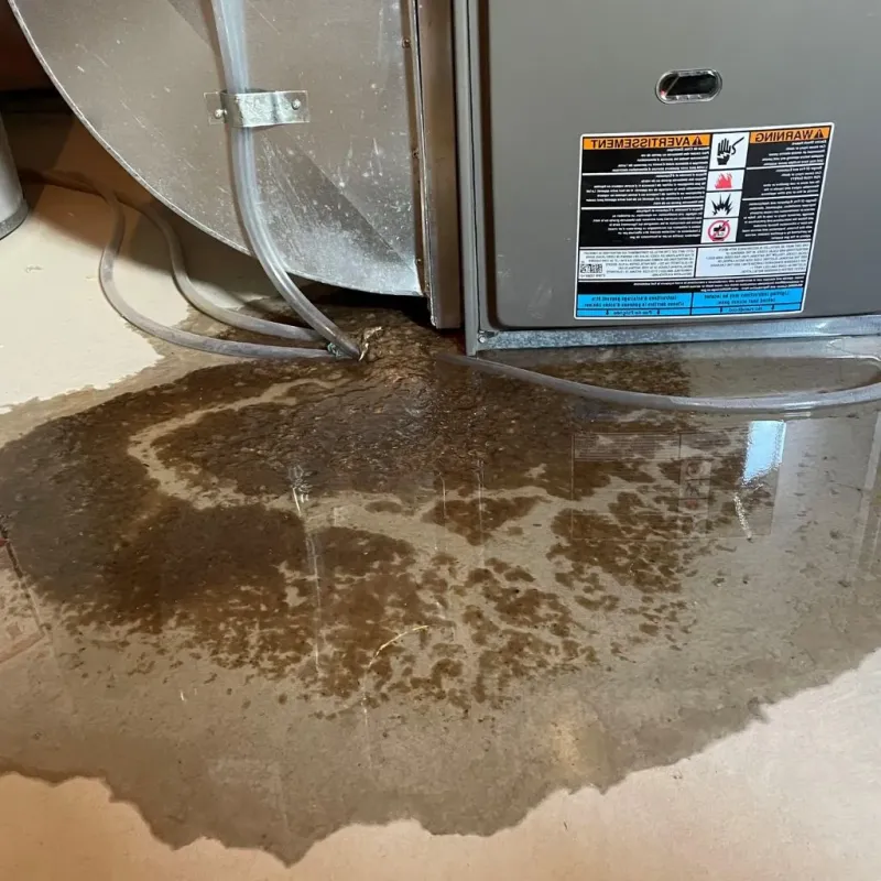 Pipe Burst and Leak Restoration in Timber Lake, SD