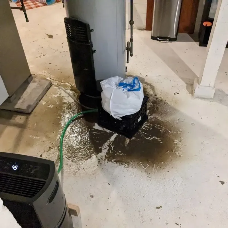 Sewage Backup Cleanup Service in Timber Lake, SD